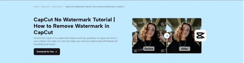 CapCut Without Watermark  How to Remove watermark guide 2024