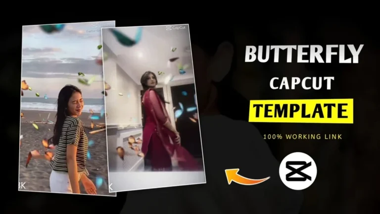 Butterfly Effect CapCut Template